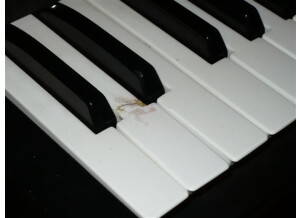 Fatar / Studiologic SL-161 Pro (30711)