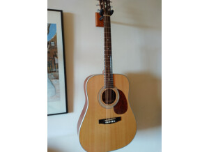 Cort Earth70 (38165)