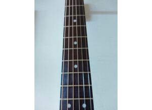 Cort Earth70 (12567)