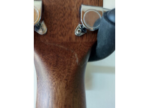 Cort Earth70 (65972)