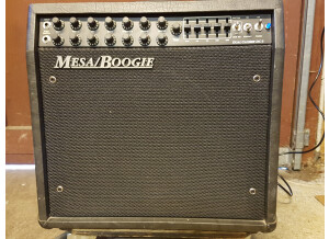 Mesa Boogie DC-3 Combo (20)