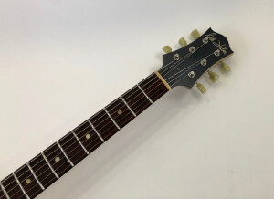 Nik Huber Guitars Krautster (76073)