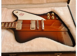 Gibson Firebird V 2012 Mr Fabulous pickups (3)