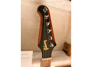 Gibson Firebird V 2012 Mr Fabulous pickups (4)