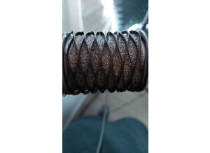 274303055_4762042727183052_8115418341480312557_n