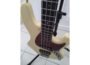 Sandberg (Bass) California TM 4 (60816)