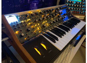 Moog Music SUB 37 (67279)