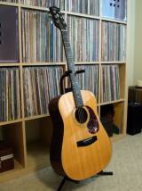 Epiphone PR-350C
