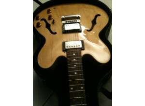 Epiphone [Archtop Series] The Dot - Natural