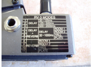 Boss RV-3 Digital Reverb/Delay (63557)