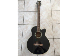 Art-Luthier Electro-acoustic Bass