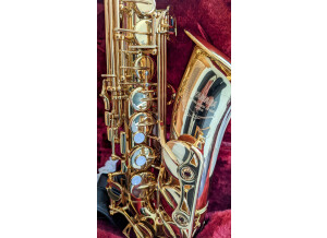 PXL_20220308_090547637_2