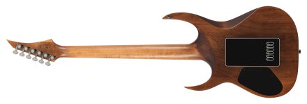 A1.6D+back A1.6D+back