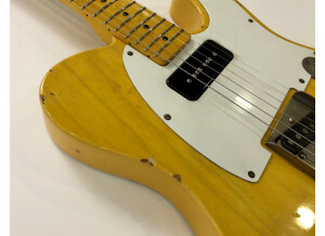 Nash Guitars T52 (34176)