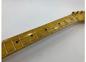 Nash Guitars T52 (23465)