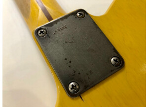 Nash Guitars T52 (66733)