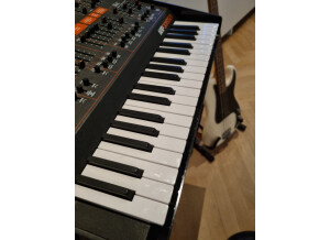 ARP Odyssey Rev3 (2015) (15824)