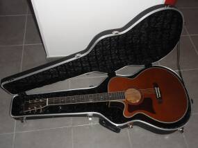 Tanglewood TW45 NS E