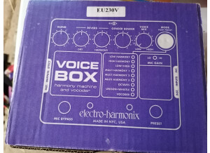 voice box 1