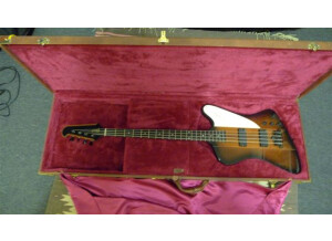 Gibson Thunderbird IV (42766)