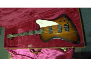 Gibson Thunderbird IV (71974)