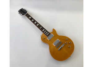 Gibson Les Paul Standard 7 String Limited (96034)