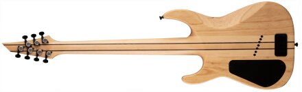 soloistback7 soloistback7