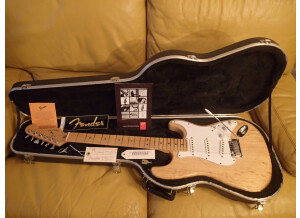 Fender-Strato-10.JPG