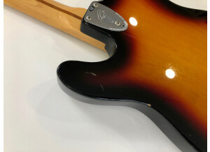 Fender Classic '72 Telecaster Custom (40658)