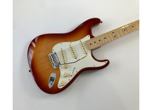 Fender American Professional Stratocaster (17611)