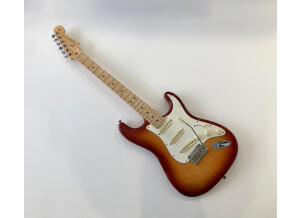 Fender American Professional Stratocaster (80506)