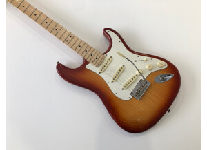 Fender American Professional Stratocaster (88625)