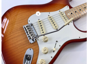 Fender American Professional Stratocaster (61973)