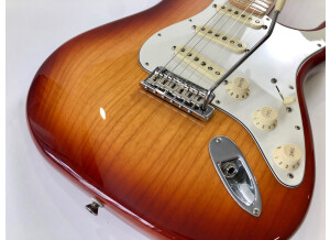 Fender American Professional Stratocaster (97510)