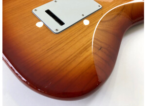 Fender American Professional Stratocaster (95336)
