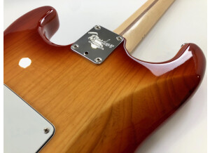 Fender American Professional Stratocaster (24000)