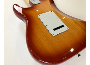 Fender American Professional Stratocaster (93661)