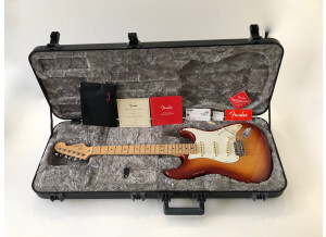 Fender American Professional Stratocaster (88890)