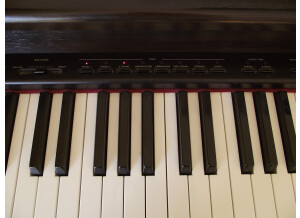 Casio celviano AP 20