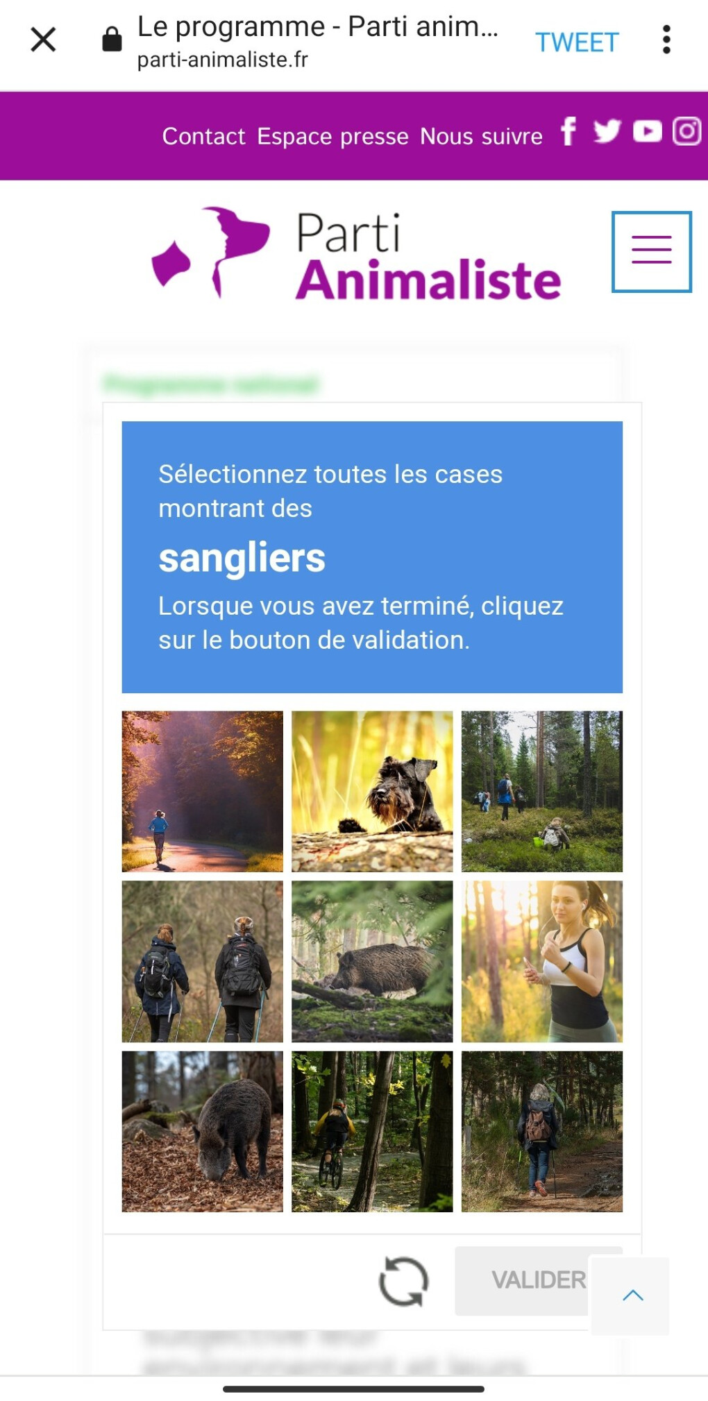 4411265.jpg 4411265.jpg