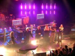 concert concert