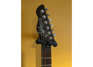 Chapman Guitars ML-3 RC (74229)