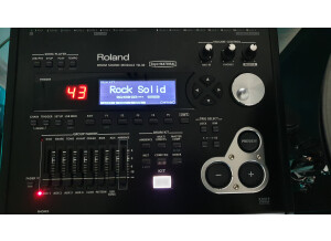 Roland TD-30 Module (80065)