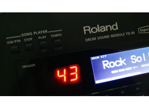 Roland TD-30 Module (87316)