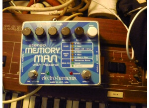 Electro-Harmonix Stereo Memory Man with Hazarai (41096)