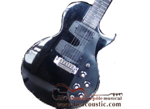 Gibson Les Paul Challenger