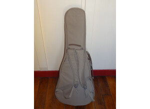 Taylor GS Mini-e Koa FLTD (9495)