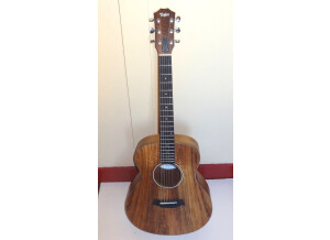 Taylor GS Mini-e Koa FLTD (54333)