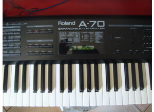 Roland A-70
