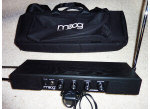 Moog Music Theremin Etherwave